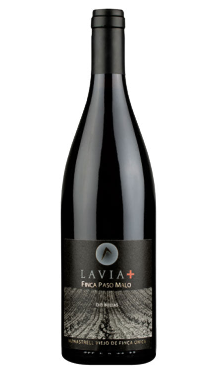 Vino Rosso "Lavia Finca Paso Malo"