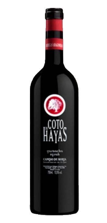 Vino Rosso "Coto de Hayas Joven Magnum"