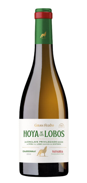 Vino Bianco "Gran Feudo Hoya De Los Lobos"