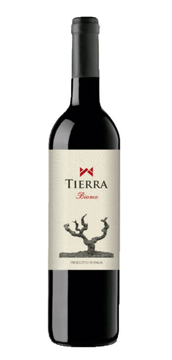 Vino Bianco "Tierra Bianco"