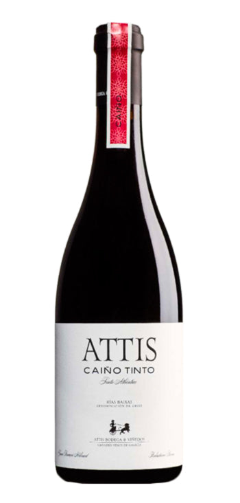Vino Rosso "Attis Caíño Rosso"