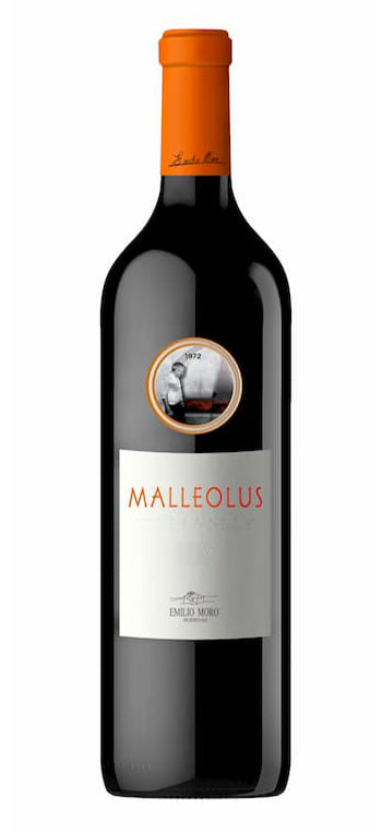 Vino Rosso "Malleolus Reserva"